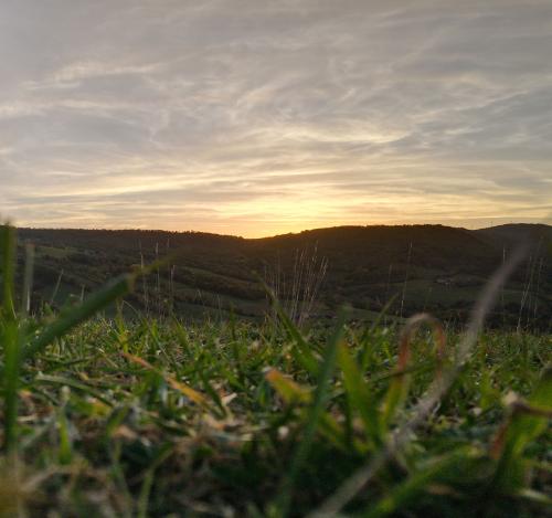 DJI_1859.jpg